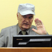 Mowy końcowe w procesie Ratko Mladicia