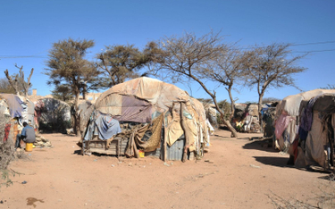 Somalia: 70 proc. rodzin bez dostępu do wody pitnej