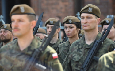 Siły Zbrojne za miliardy. Kosztowna budowa wielkiej polskiej armii