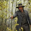 Cullen Bohannon (Anson Mount)