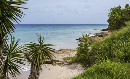 St. John przyciąga bardzo bogatych klientów