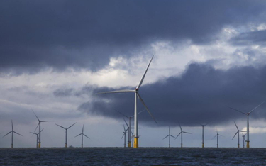 W.Brytania chce zwiększyć dopłaty do morskich farm wiatrowych