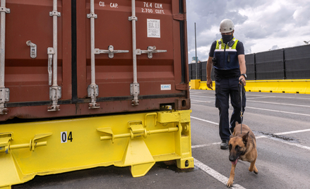 Akcja poszukiwania narkotyków w porcie w Antwerpii, lipiec 2025 r.