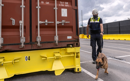 Akcja poszukiwania narkotyków w porcie w Antwerpii, lipiec 2025 r.