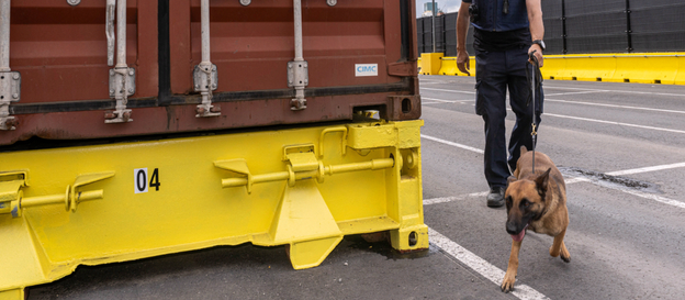 Akcja poszukiwania narkotyków w porcie w Antwerpii, lipiec 2025 r.