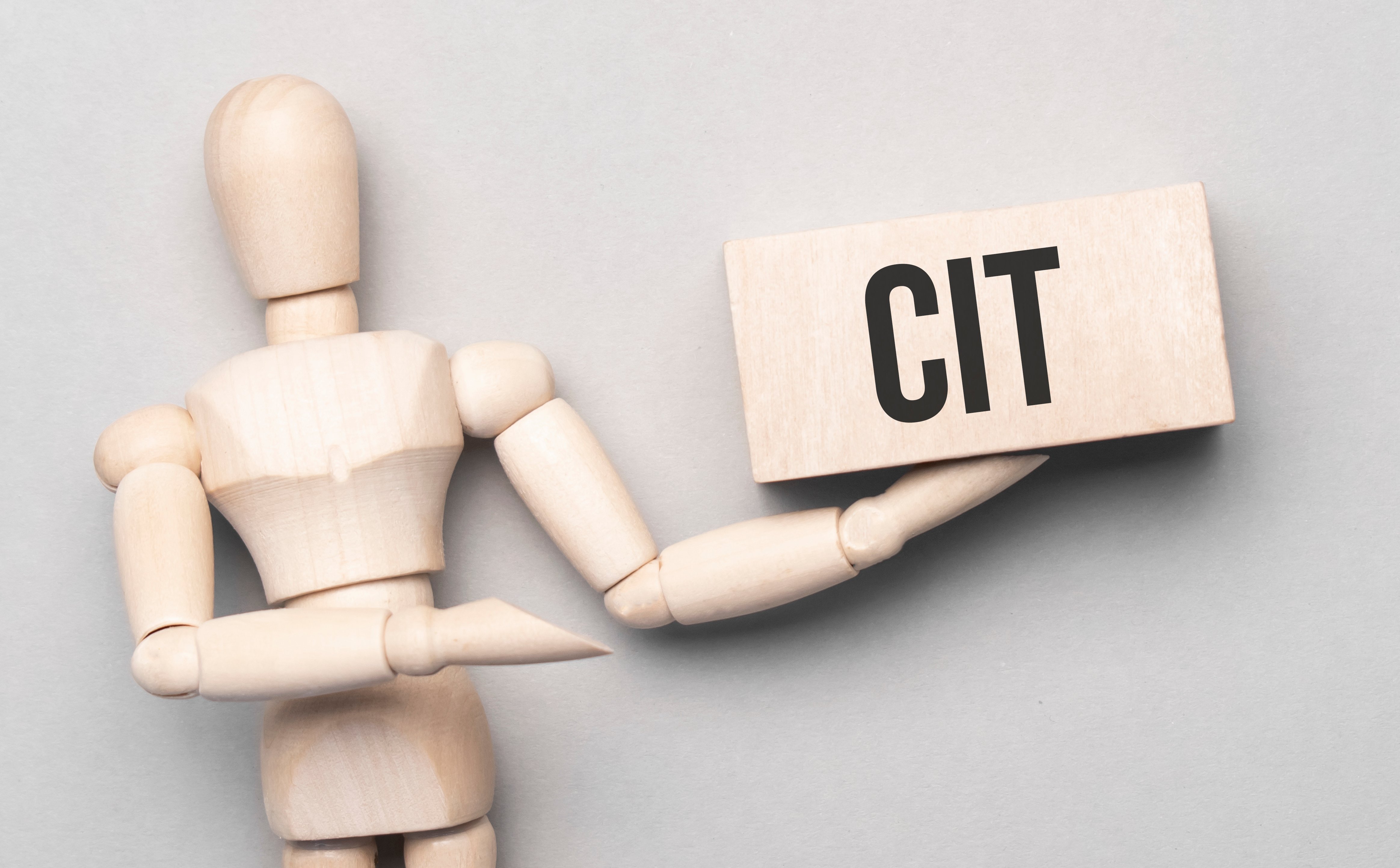 Czy estoński CIT to dobry wybór?