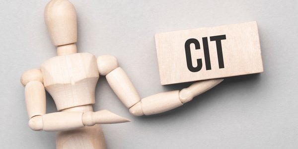 Czy estoński CIT to dobry wybór?