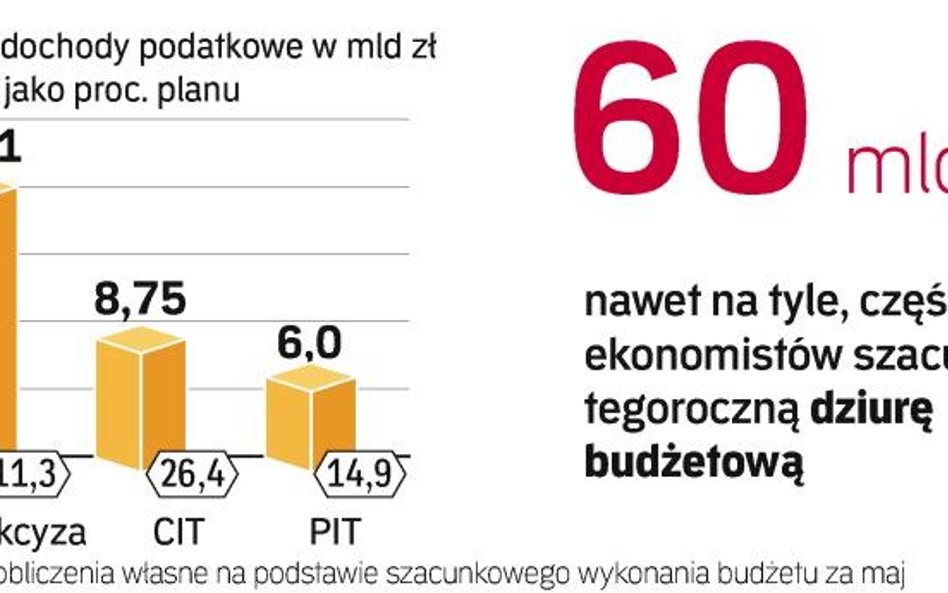 Przychody państwowej kasy są poniżej planu. Resort finansów szuka więc dodatkowych pieniędzy.