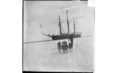 14 stycznia 1911 roku "Frame" wpłynął do Zatoki Wielorybiej