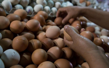 Ceny jajek rosną jak oszalałe