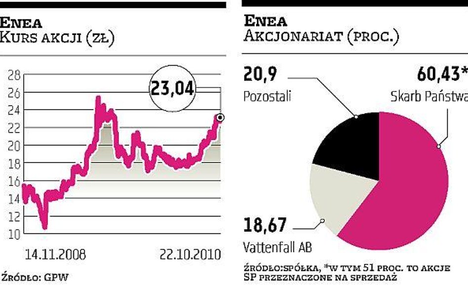 Enea: Inwestor powinien dać dobrą cenę