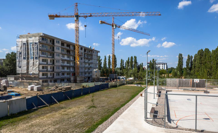 W sprawozdaniach ciągle wysokie marże