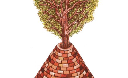 Blaski i cienie zielonego konserwatyzmu