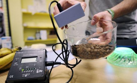 W Londynie powstaje światowy bank nasion dzikich roślin