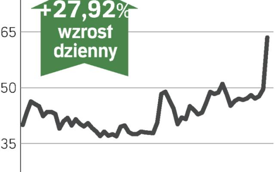 Petrolinvest ma środki na inwestycje