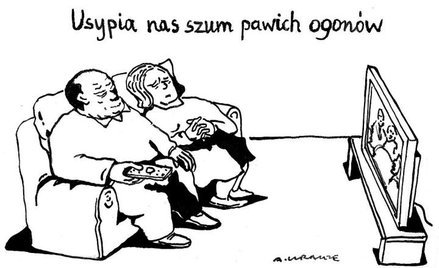 Komentarz rysunkowy. Szum pawich ogonów