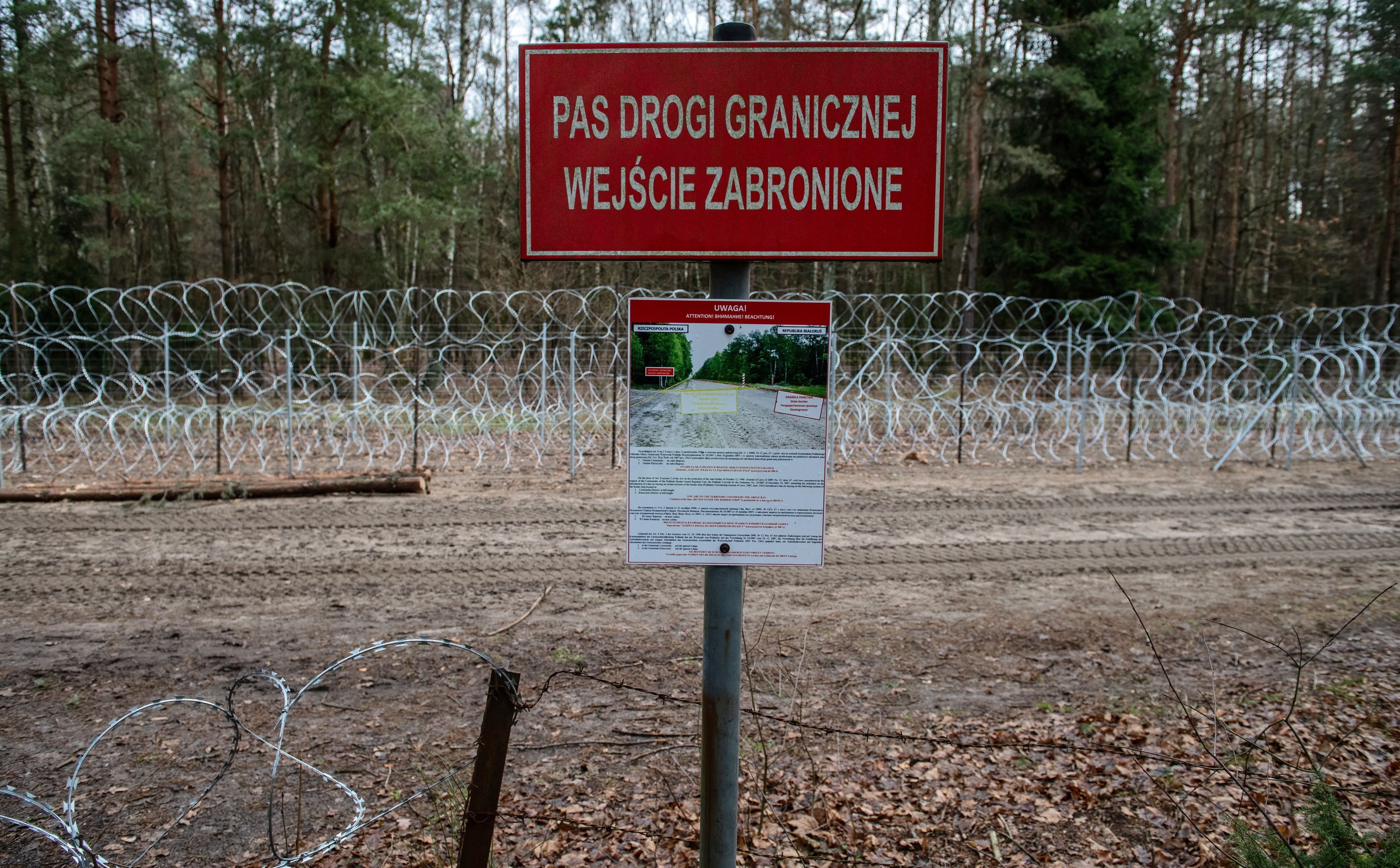 Co działo się na granicy polsko-białoruskiej? Alarmujący raport Helsińskiej Fundacji Praw Człowieka