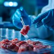 Przestawienie się na mięso z laboratorium ograniczy zużycie energii i emisję gazów cieplarnianych Ad