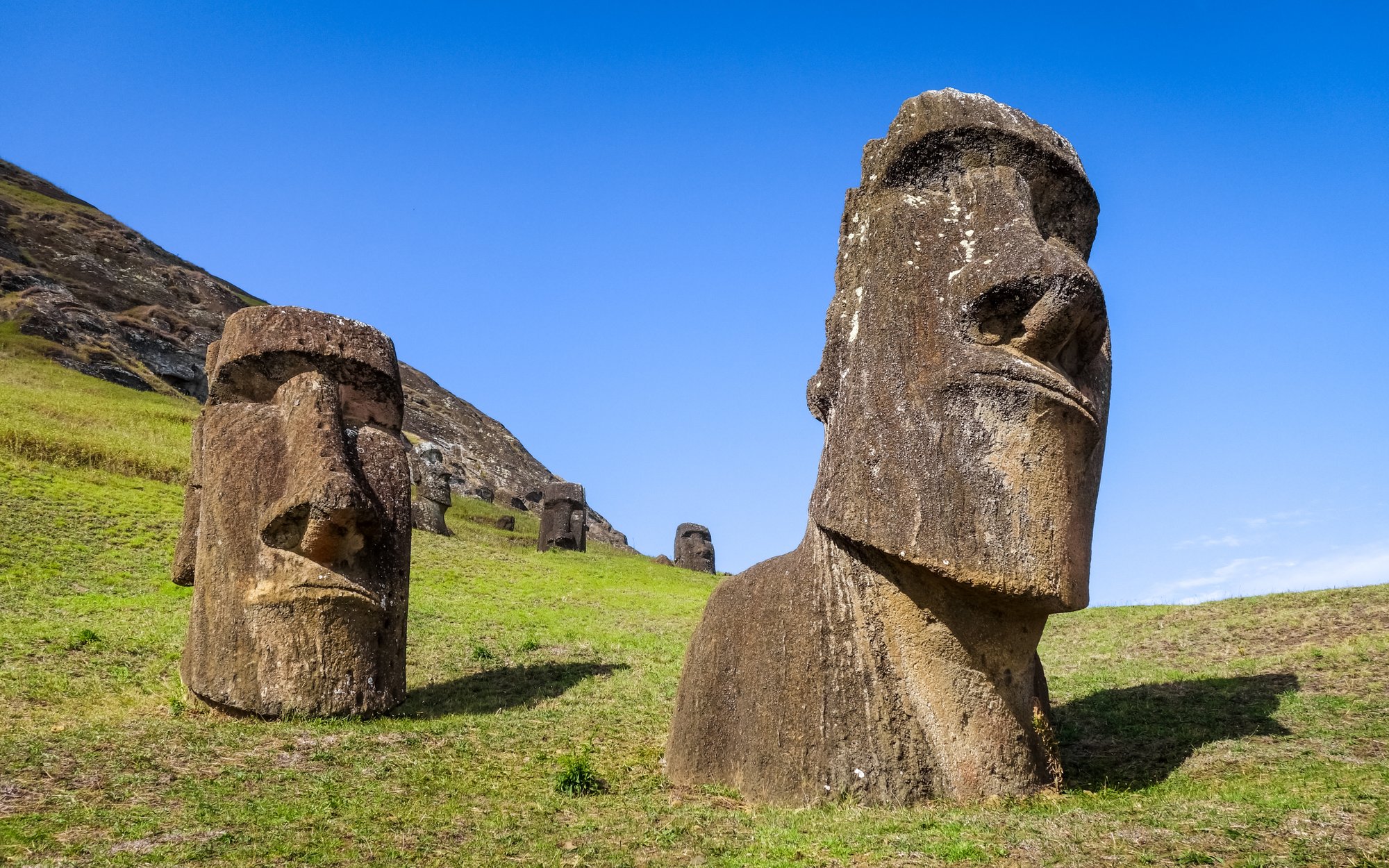 Easter Island moai were moved upright, study by researchers says
