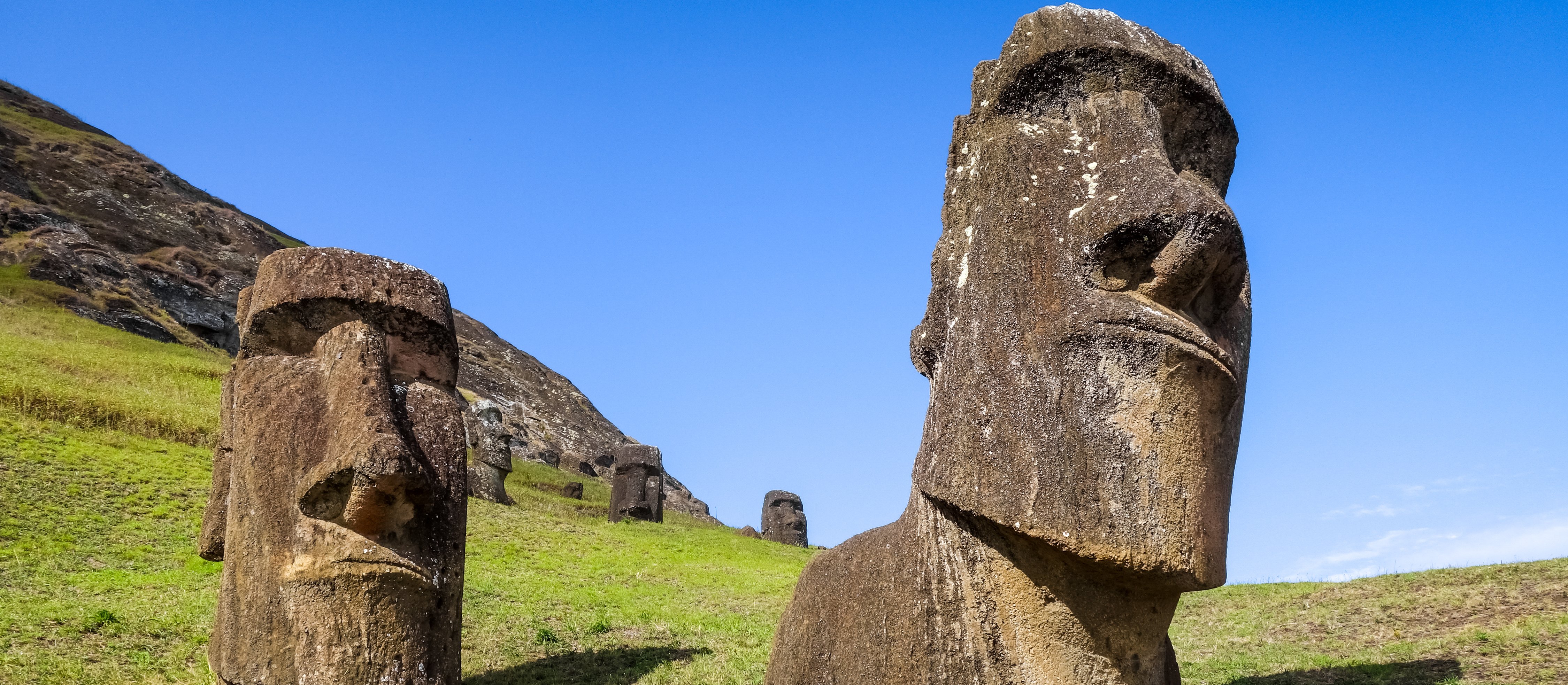 Zagadka posągów z Wyspy Wielkanocnej rozwiązana? Naukowcy twierdzą, iż moai „chodziły”