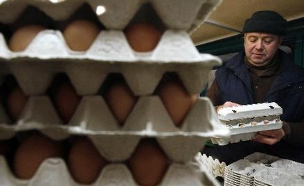 Pasze skażone dioksynami