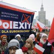 Polityków PiS skłania do eurosceptycznej retoryki nie tylko rywalizacja z obiema antyunijnymi Konfed