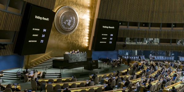 Zgromadzenie Ogólne ONZ 