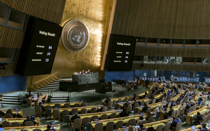 Posiedzenie ZO ONZ