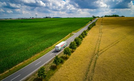 Jak zmniejszyć emisje CO2 w logistyce?