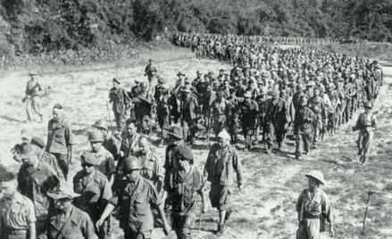 Kres epoki kanonierek