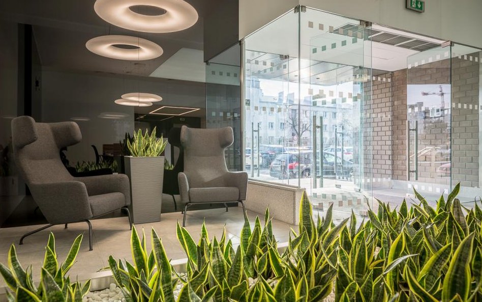 Zielone szaty Flanders Business Parku