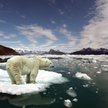 COP26: Bezczynność doprowadzi do katastrofy