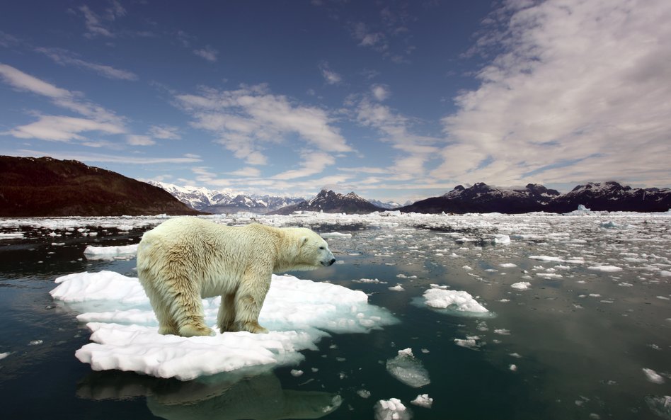 COP26: Bezczynność doprowadzi do katastrofy