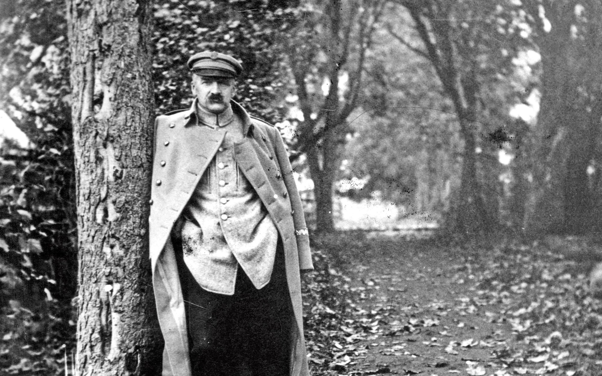 Bękart z rodzaju tych, co niepokoją