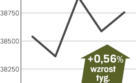 Sezon wyników w pełni