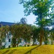 Wolne Miasto Gdańsk