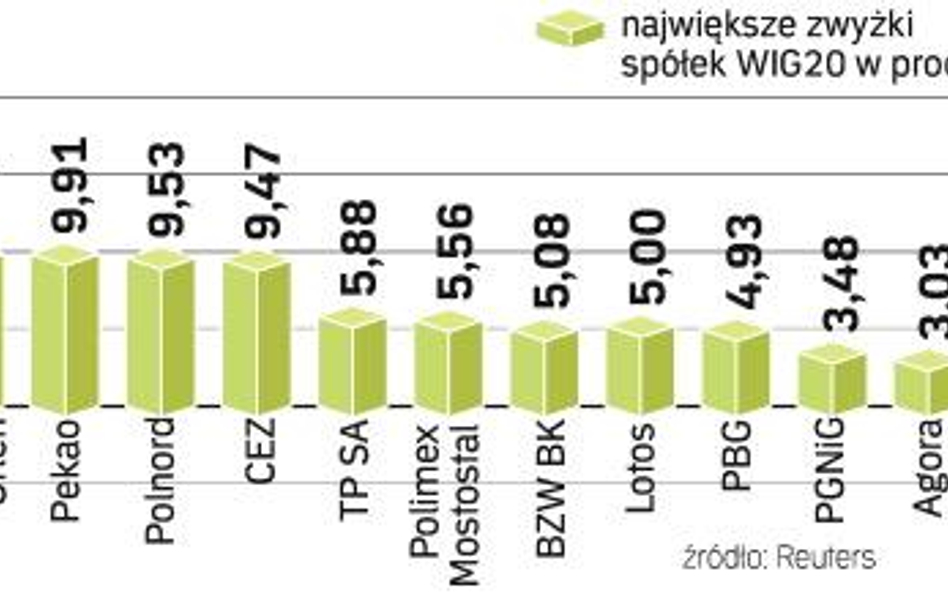 Spośród spółek wchodzących w skład indeksu WIG20 tylko Bioton i GTC nie znalazły uznania w oczach in