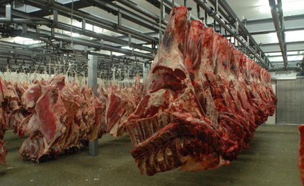 Protest rolników: Odwołano zastępcę Głównego Lekarza Weterynarii