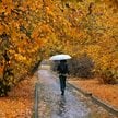 Spadek temperatur będzie szczególnie odczuwalny na przełomie października i listopada