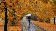 Spadek temperatur będzie szczególnie odczuwalny na przełomie października i listopada
