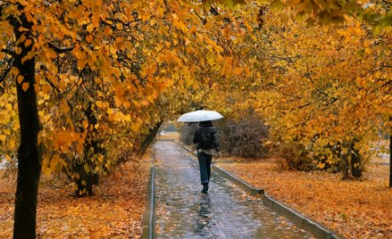 Spadek temperatur będzie szczególnie odczuwalny na przełomie października i listopada