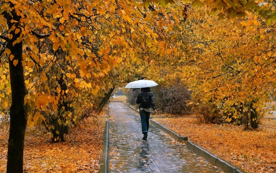Spadek temperatur będzie szczególnie odczuwalny na przełomie października i listopada