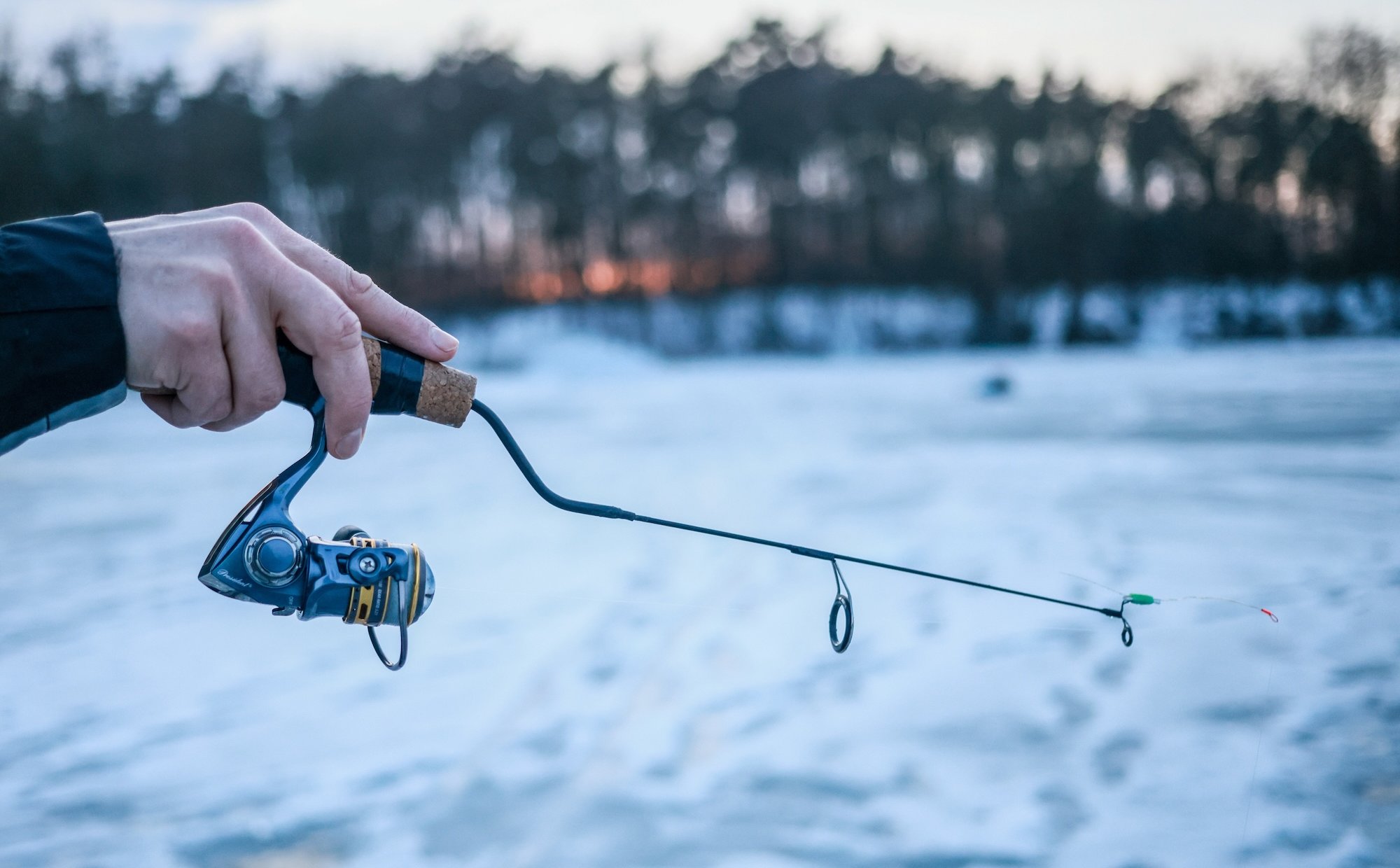 Ryby słodkowodne padają ofiarą zmian klimatu. To koniec wędkarstwa, jakie znamy