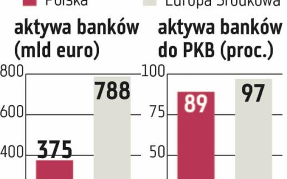 Banki: Rentowność trudna do utrzymania