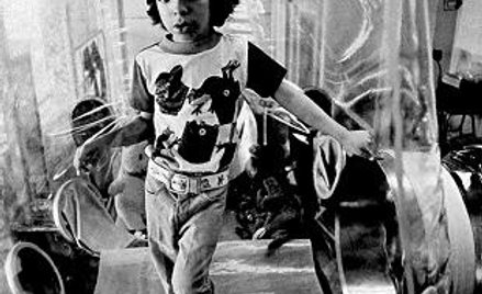 David Vetter „Bubble Boy”