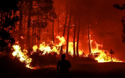 Polscy strażacy są w drodze do Francji. Pomogą gasić gigantyczne pożary