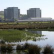 Hitachi kupuje firmę Horizon Nuclear Energy