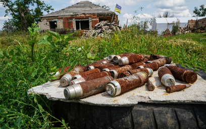 Fragmenty amunicji zgromadzone na podwórku zniszczonego domu we wsi Dowhenka w obwodzie charkowskim