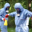 Pracownicy firmy zajmującej się pielęgnacją drzew czyszczą kombinezony ochronne po usunięciu kilku g