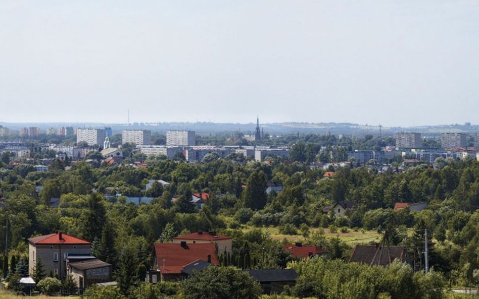 Prezydent Zawiercia ma "nieformalnego zastępcę". 16-latka